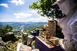 美妆响应“520世界蜜蜂日”下杀85折限时优惠